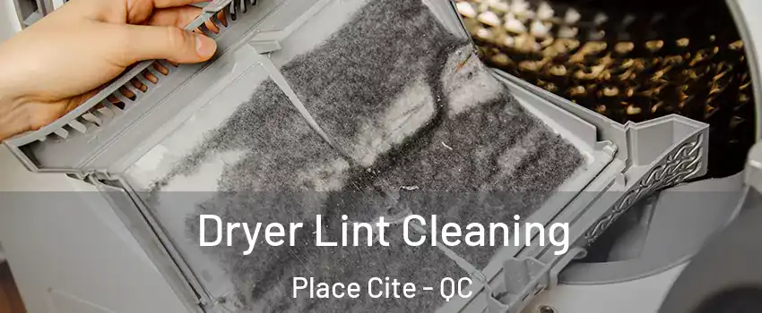  Dryer Lint Cleaning Place Cite - QC
