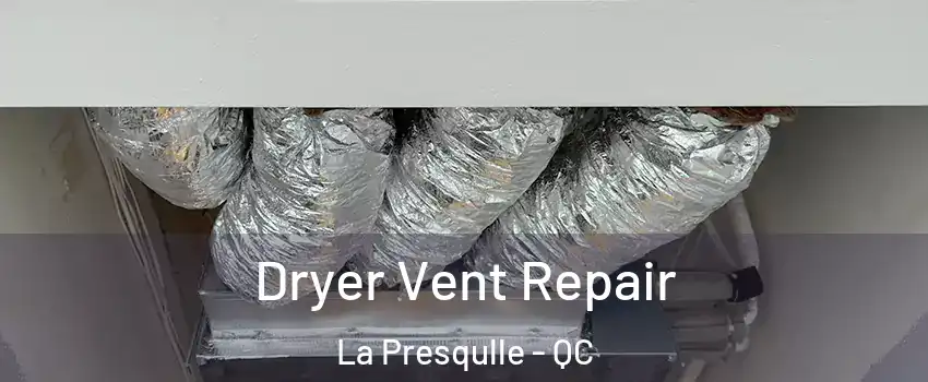  Dryer Vent Repair La Presqulle - QC