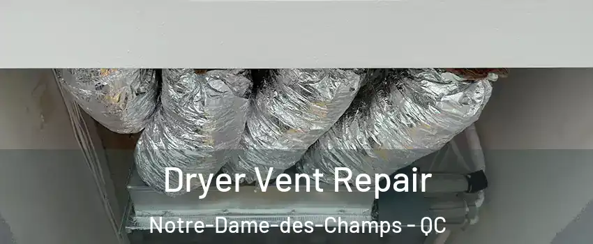  Dryer Vent Repair Notre-Dame-des-Champs - QC