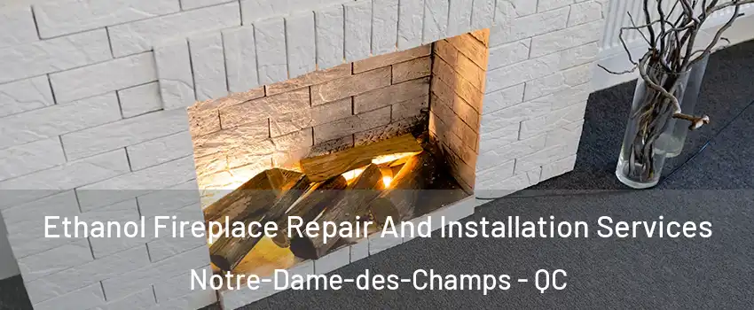  Ethanol Fireplace Repair And Installation Services Notre-Dame-des-Champs - QC