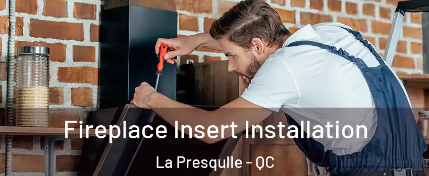  Fireplace Insert Installation La Presqulle - QC