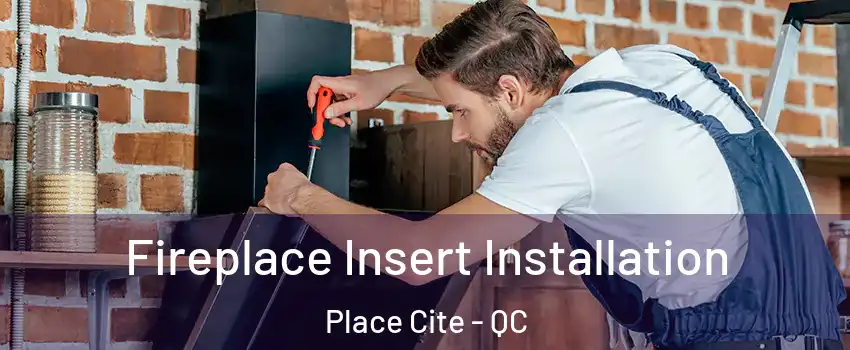 Fireplace Insert Installation Place Cite - QC