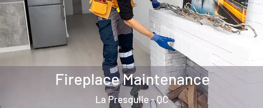  Fireplace Maintenance La Presqulle - QC