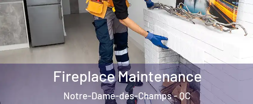  Fireplace Maintenance Notre-Dame-des-Champs - QC