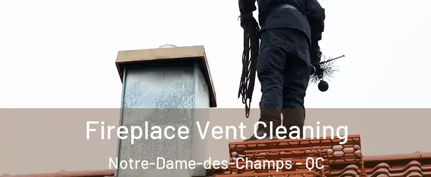  Fireplace Vent Cleaning Notre-Dame-des-Champs - QC