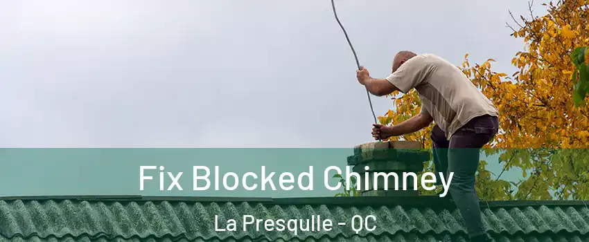  Fix Blocked Chimney La Presqulle - QC