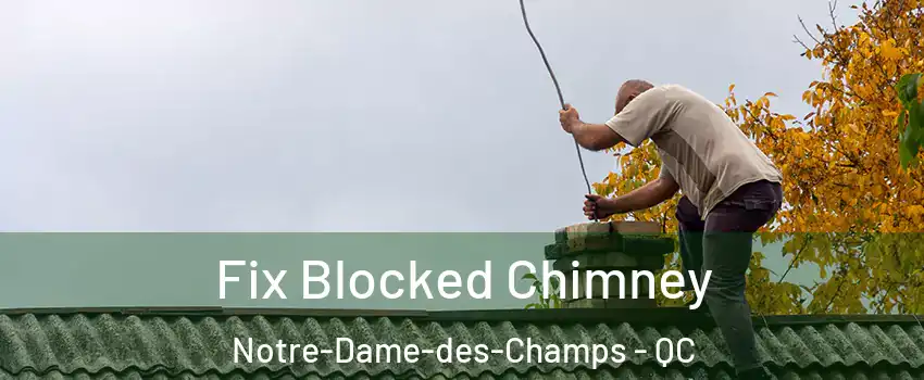  Fix Blocked Chimney Notre-Dame-des-Champs - QC