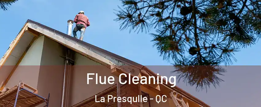  Flue Cleaning La Presqulle - QC