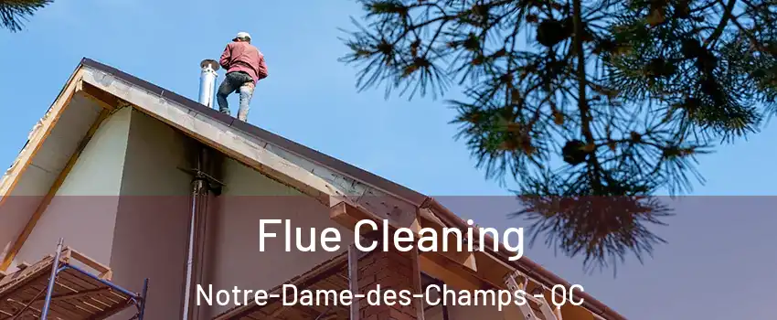  Flue Cleaning Notre-Dame-des-Champs - QC