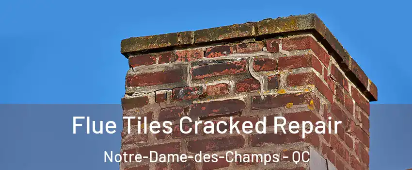  Flue Tiles Cracked Repair Notre-Dame-des-Champs - QC
