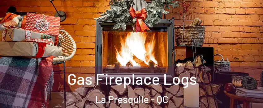  Gas Fireplace Logs La Presqulle - QC