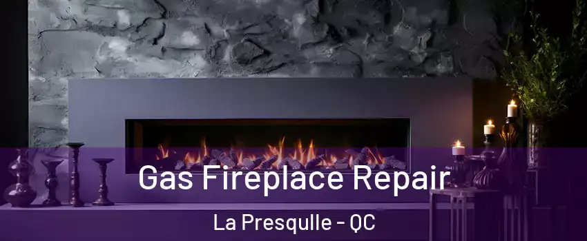  Gas Fireplace Repair La Presqulle - QC