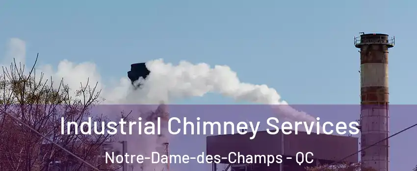  Industrial Chimney Services Notre-Dame-des-Champs - QC