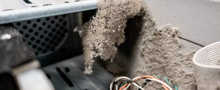 Clogged Dryer Vent Lint Cleaning in Saint-Paul, Quebec