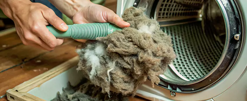 Best Dryer Lint Removal Company in Saint-Paul, Quebec