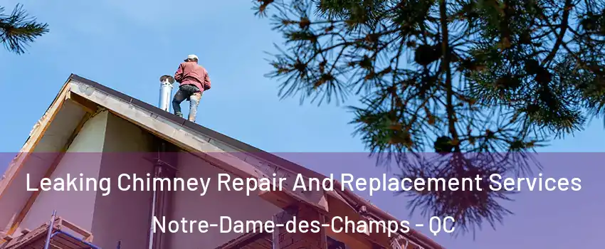  Leaking Chimney Repair And Replacement Services Notre-Dame-des-Champs - QC