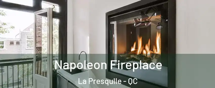  Napoleon Fireplace La Presqulle - QC