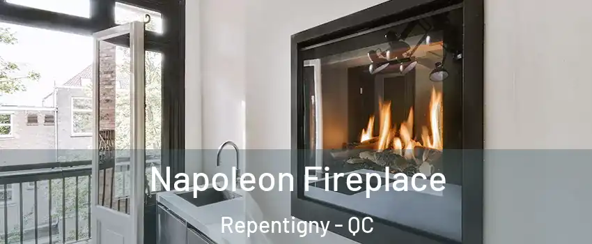  Napoleon Fireplace Repentigny - QC