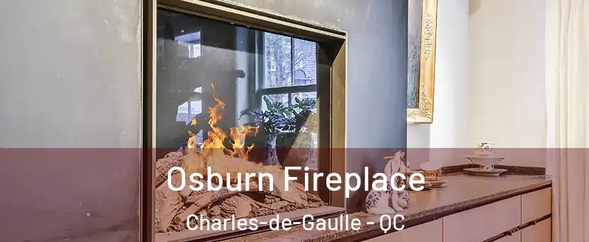  Osburn Fireplace Charles-de-Gaulle - QC