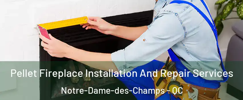  Pellet Fireplace Installation And Repair Services Notre-Dame-des-Champs - QC