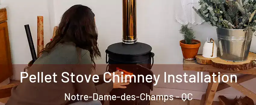  Pellet Stove Chimney Installation Notre-Dame-des-Champs - QC