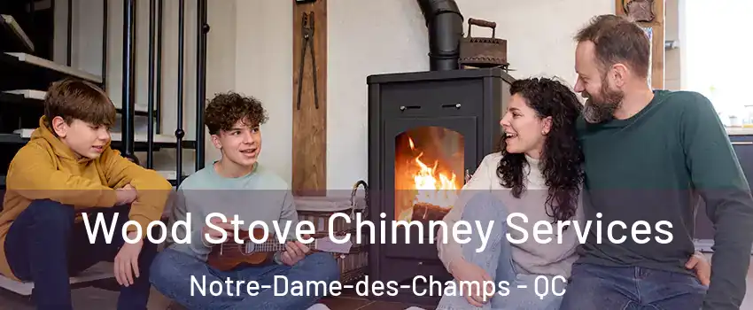  Wood Stove Chimney Services Notre-Dame-des-Champs - QC