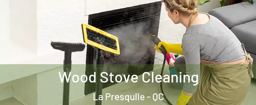  Wood Stove Cleaning La Presqulle - QC