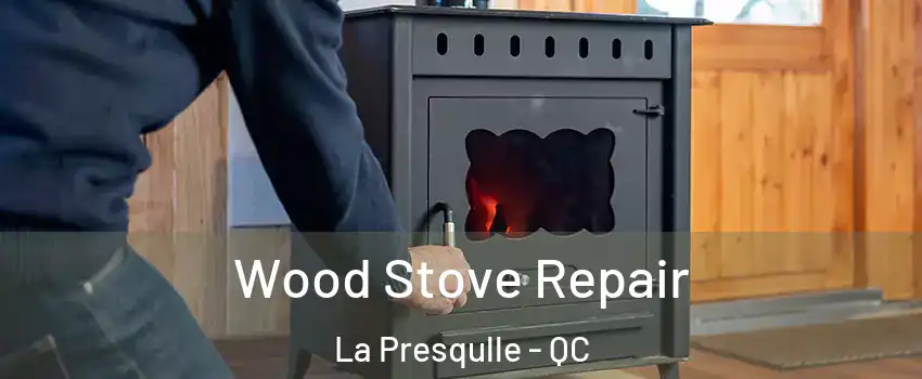  Wood Stove Repair La Presqulle - QC